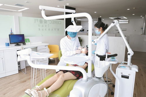 视力矫正 整形美容 口腔诊疗