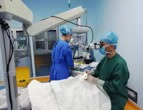 全临泉寻找这50个人,还有专家......