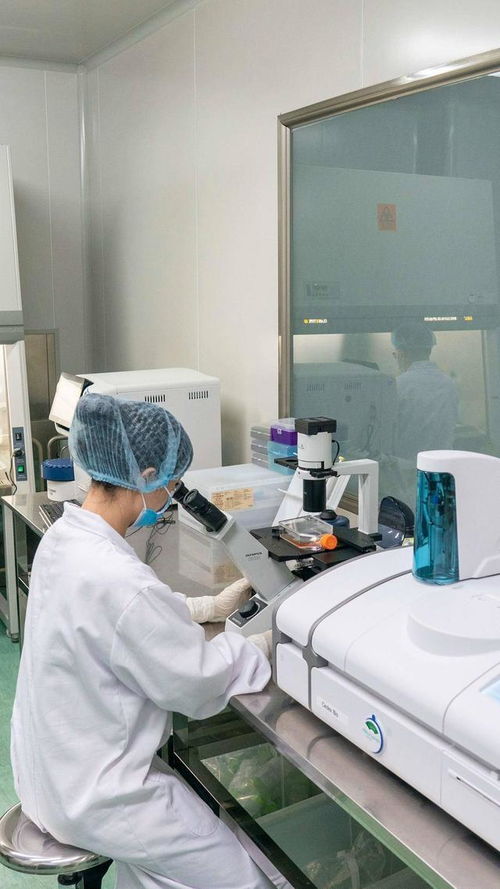 与 新 相遇丨眼科罕见药有望明年上市