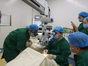 今天起,荆州人在自家门口就可以享受一流的眼科诊疗服务啦